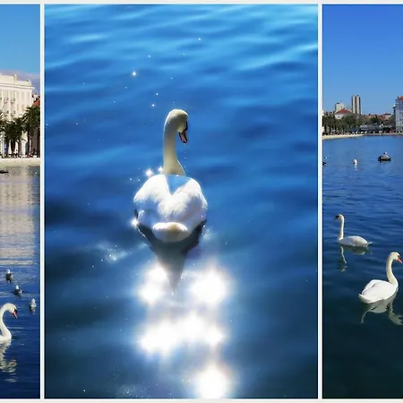 Apartmán Residenza *